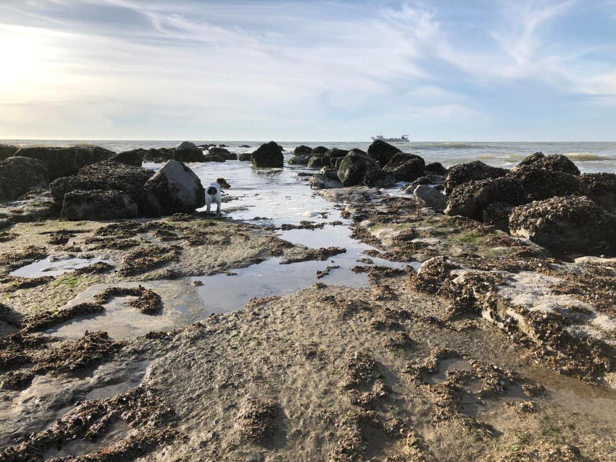 Zee Rust Ostend